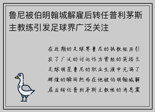 鲁尼被伯明翰城解雇后转任普利茅斯主教练引发足球界广泛关注